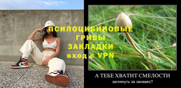 прущие крисы Алексеевка