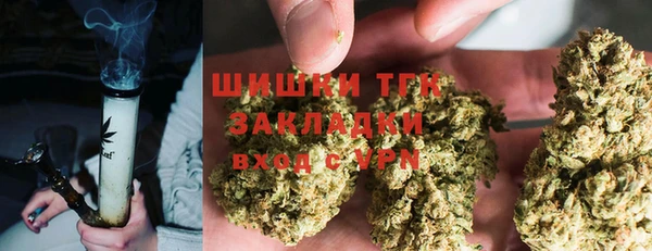 гидра Абаза