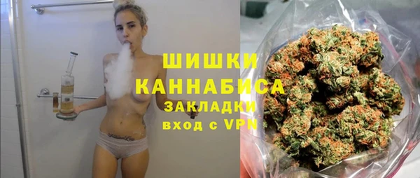 гидра Абаза