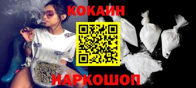 шишки Кандалакша