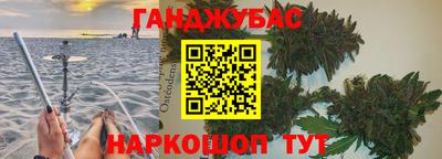 шишки Кандалакша