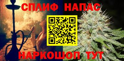шишки Кандалакша