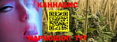 шишки Кандалакша