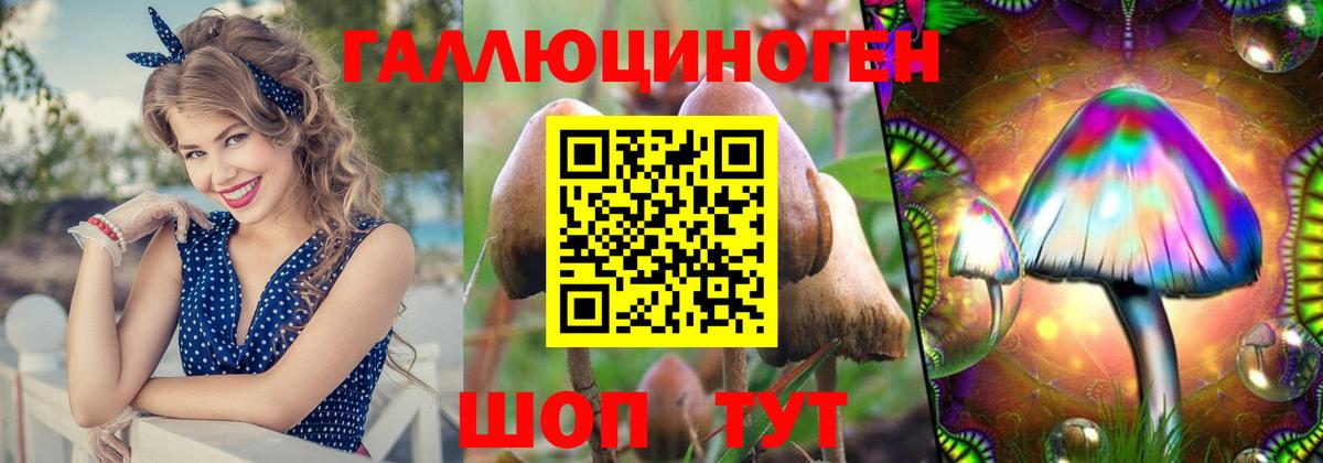 Галлюциногенные грибы GOLDEN TEACHER  Галлюциногенные грибы Psilocybe  Усолье-Сибирское  Вход с VPN 